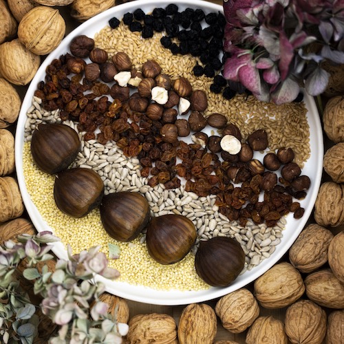 MPR4100_Manuel_Wyser_Superfoods_Superregional_Regionales Superfood