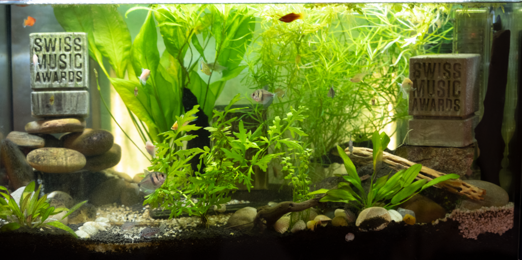 Aquarium