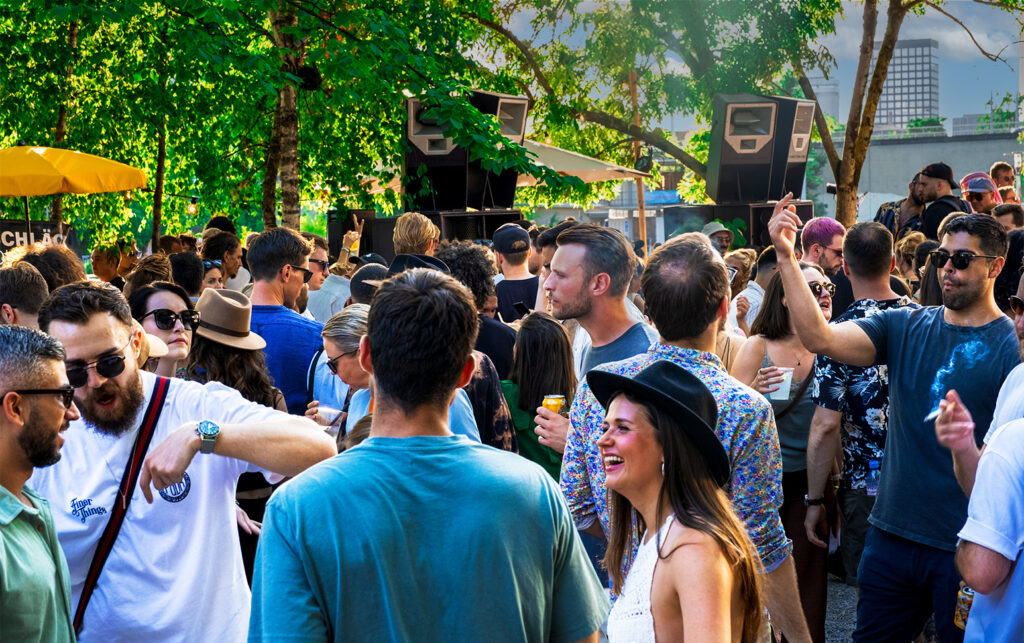 Party crowd 2