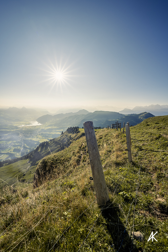 Die Morgensonne.