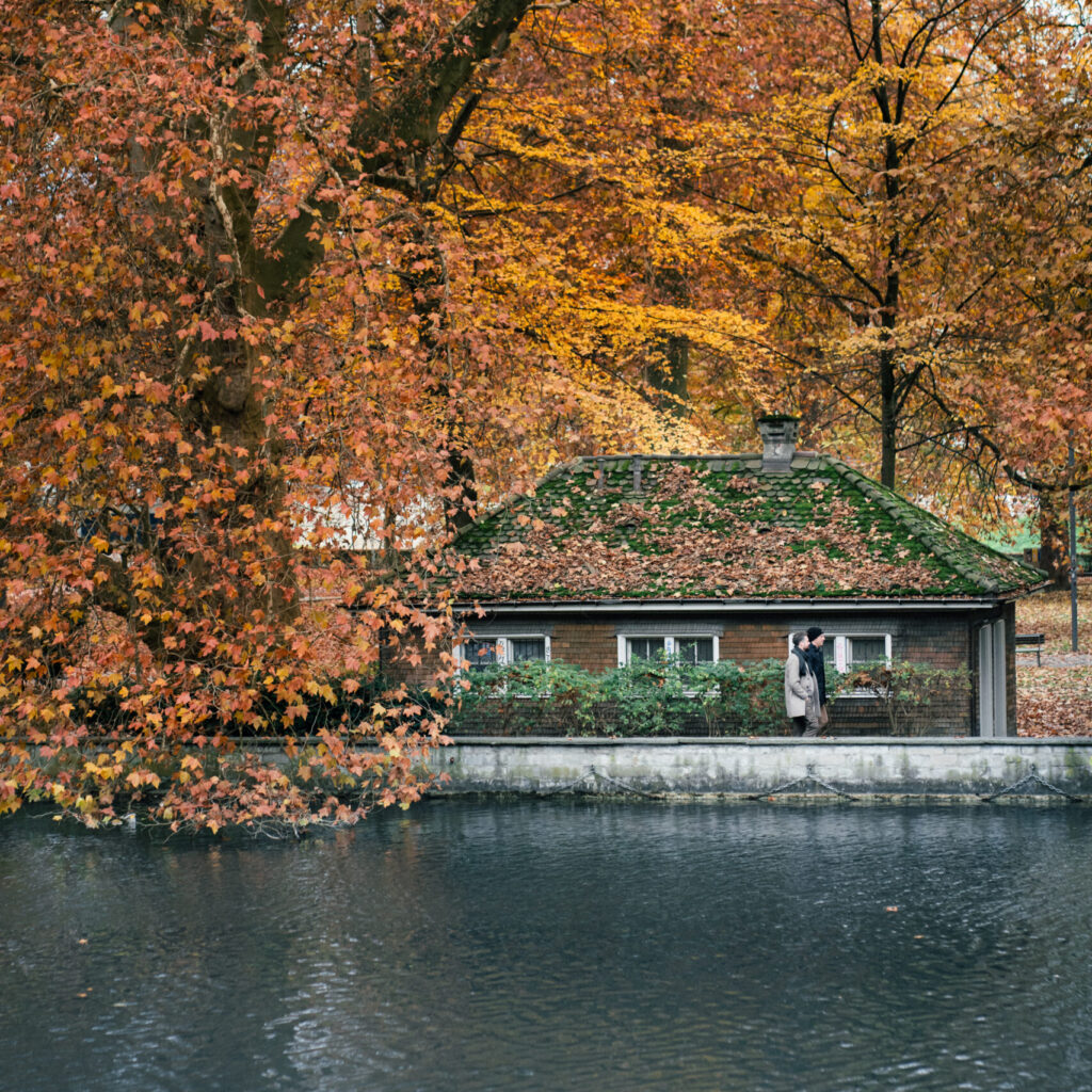 Autumn vibes